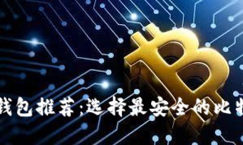 比特币安全钱包推荐：选择最安全的比特币钱包指南