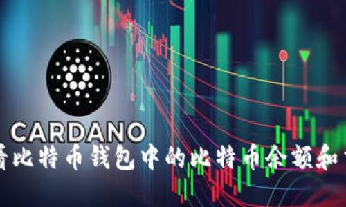 如何查看比特币钱包中的比特币余额和交易记录