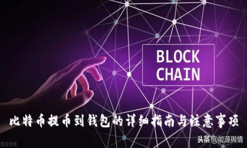 比特币提币到钱包的详细指南与注意事项
