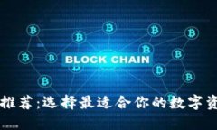 区块链钱包推荐：选择最