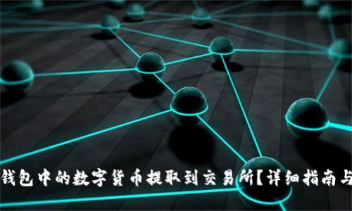怎样将TP钱包中的数字货币提取到交易所？详细指南与操作步骤