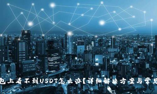 小狐狸钱包上看不到USDT怎么办？详细解决方案与常见问题解析