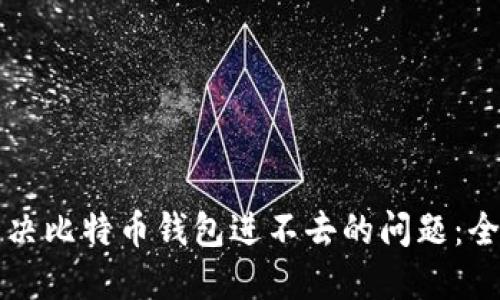 如何解决比特币钱包进不去的问题：全面指南