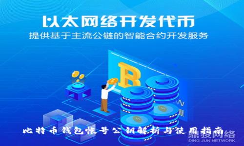 比特币钱包帐号公钥解析与使用指南
