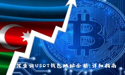如何查询USDT钱包地址余额：详细指南