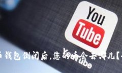 思考的虚拟货币钱包倒闭