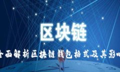 全面解析区块链钱包格式