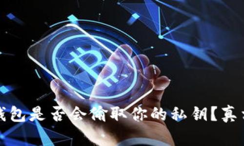 比特币钱包是否会偷取你的私钥？真相大揭秘