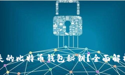 如何找回遗失的比特币钱包秘钥？全面解析和解决方案