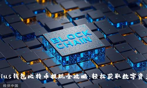 Plus钱包比特币提现全攻略：轻松获取数字资产