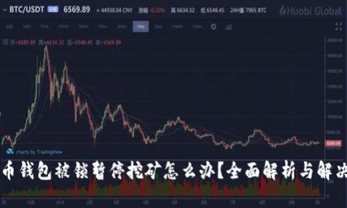 虚拟币钱包被锁暂停挖矿怎么办？全面解析与解决方案