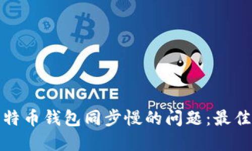 如何解决比特币钱包同步慢的问题：最佳实践与技巧