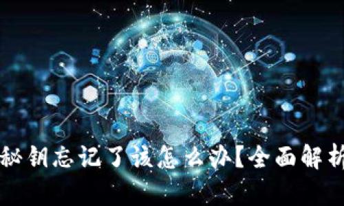 比特币钱包秘钥忘记了该怎么办？全面解析及解决方案