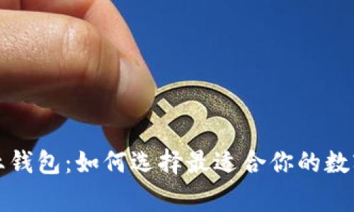 bianzhengUSDT企业钱包：如何选择最适合你的数字资产管理解决方案