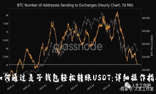 如何通过麦子钱包轻松转账USDT：详细操作指南