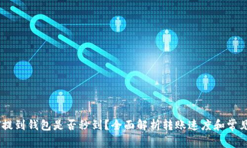 USDT提到钱包是否秒到？全面解析转账速度和常见问题