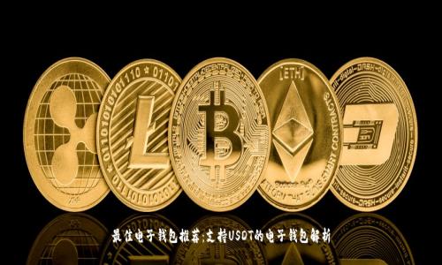 最佳电子钱包推荐:支持USDT的电子钱包解析