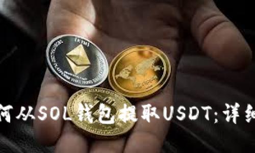 : 如何从SOL钱包提取USDT：详细指南