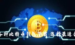 全面解析各种比特币钱包