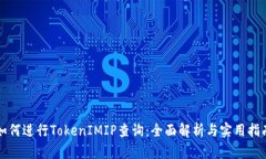 如何进行TokenIMIP查询：全