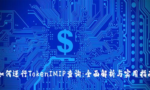 如何进行TokenIMIP查询：全面解析与实用指南