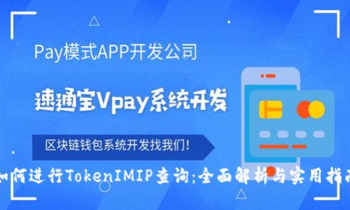 如何进行TokenIMIP查询：全面解析与实用指南