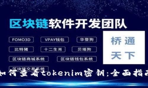 如何查看tokenim密钥:全面指南