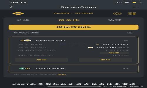 USDT无需钱包的使用方法与注意事项