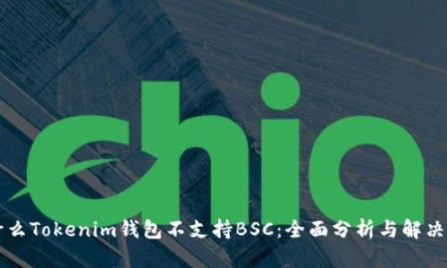 为什么Tokenim钱包不支持BSC：全面分析与解决方案