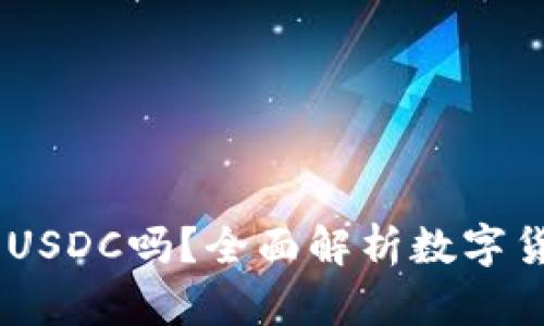 USDT钱包可以收USDC吗？全面解析数字货币钱包的兼容性