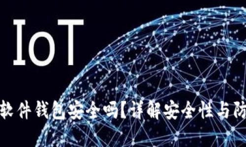 比特币软件钱包安全吗?详解安全性与防护措施