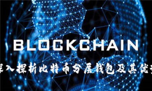 深入探析比特币分层钱包及其优势