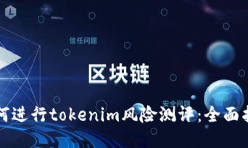 如何进行tokenim风险测评：全面指南