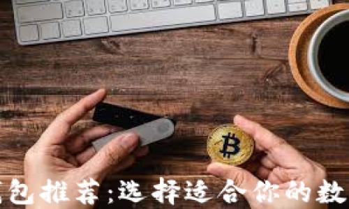 
最佳比特币轻钱包推荐：选择适合你的数字资产管理工具