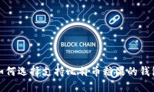 如何选择支持比特币糖果的钱包