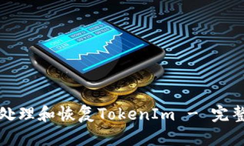 如何处理和恢复TokenIm - 完整指南