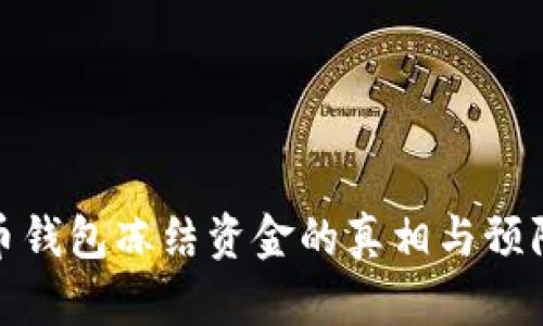 比特币钱包冻结资金的真相与预防措施