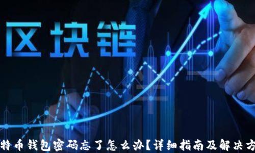 
比特币钱包密码忘了怎么办？详细指南及解决方案