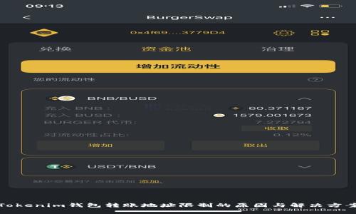 Tokenim钱包转账地址限制的原因与解决方案