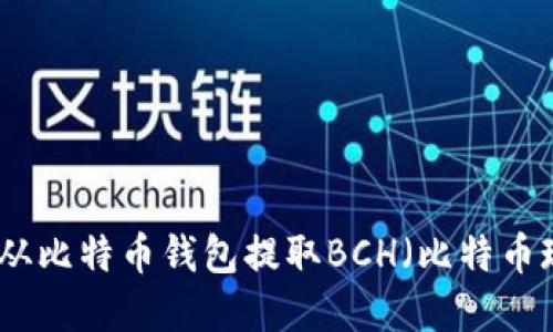 如何从比特币钱包提取BCH（比特币现金）