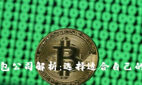 区块链主流钱包公司解析:选择适合自己的数字货币钱包