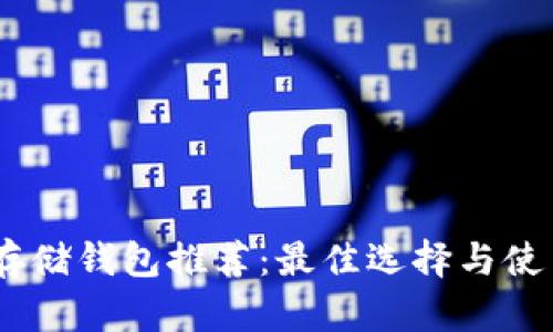 USDT存储钱包推荐：最佳选择与使用指南