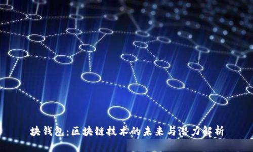 块钱包：区块链技术的未来与潜力解析