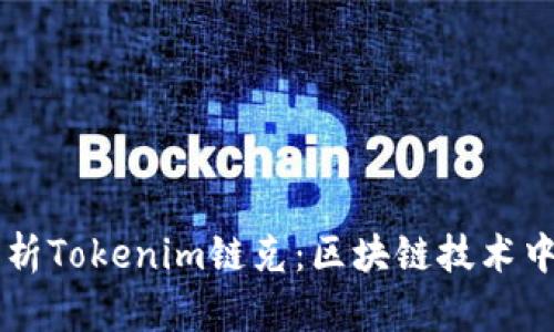 深入解析Tokenim链克：区块链技术中的新星