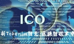 深入解析Tokenim链克：区块