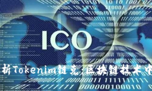 深入解析Tokenim链克:区块链技术中的新星