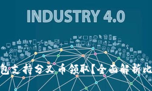 哪个比特币钱包支持分叉币领取？全面解析比特币钱包选择