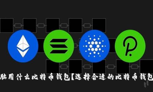 jiaotong电脑用什么比特币钱包？选择合适的比特币钱包的完全指南