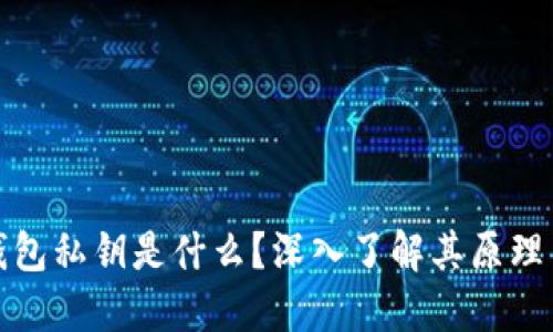 比特币钱包私钥是什么？深入了解其原理与安全性