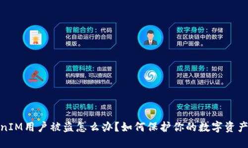 TokenIM用户被盗怎么办？如何保护你的数字资产安全
